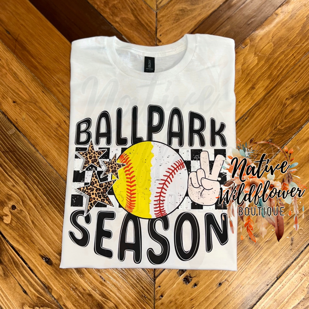 Softball baseball ballpark season