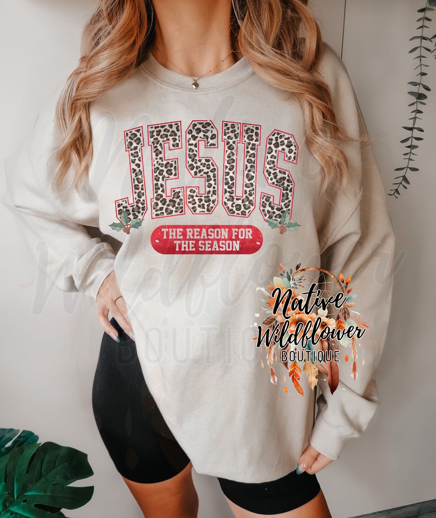 Jesus- The Reason for the Season