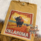 Oklahoma Buffalo Sunset
