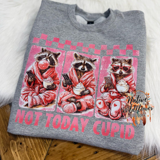 Not Today Cupid Snarky Raccoon