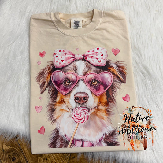 Valentine Border Collie