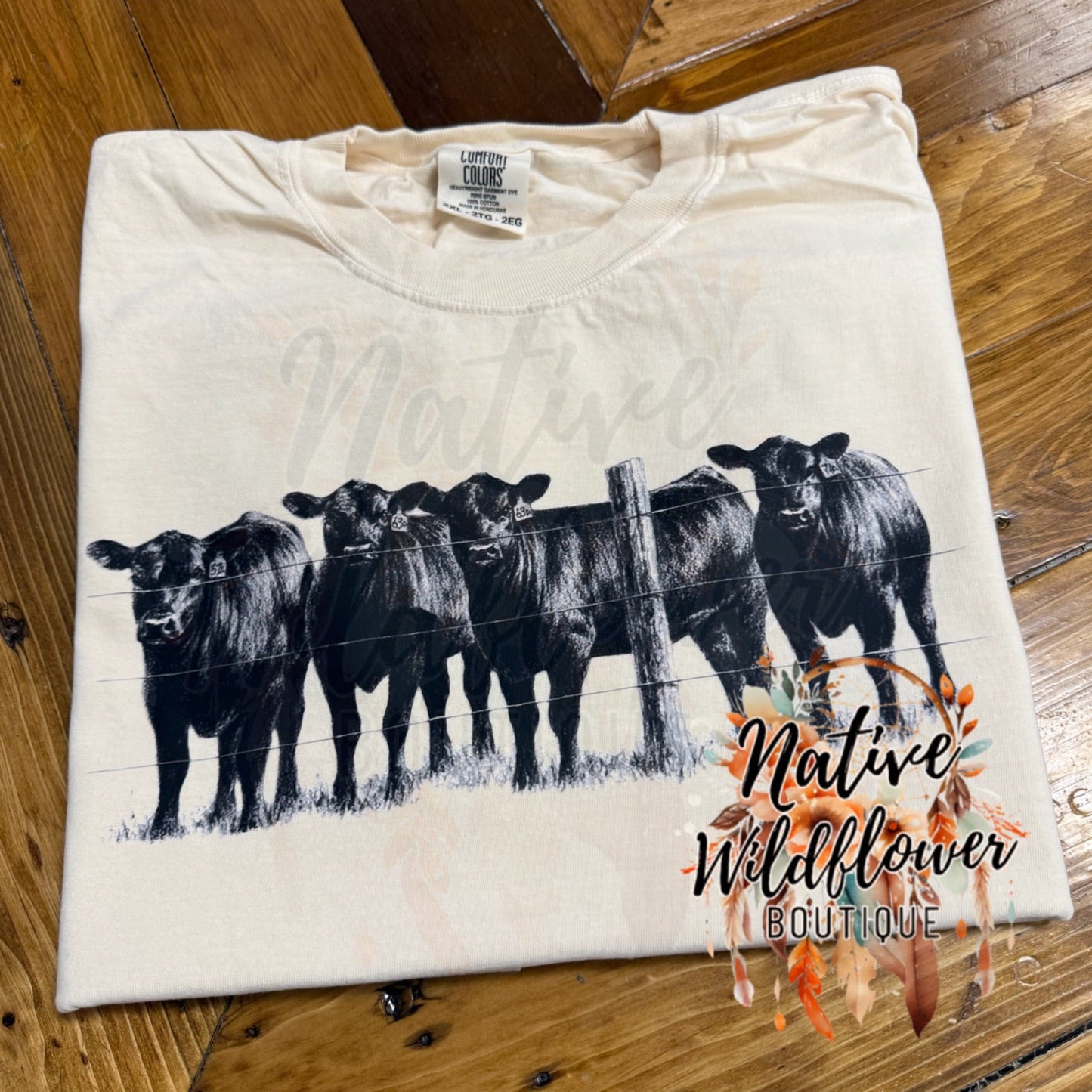 All black cows